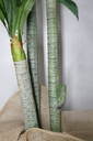 Ver imagem 3 de Árvore Planta Verde Artificial Planta Dracena 184cm Grande