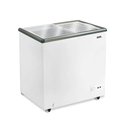 Ver imagem 1 de Freezer Expositor Horizontal Eos 176 Litros Dupla Ação EEH200 110V