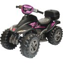 Ver imagem 1 de Quadriciclo Eletrico Biemme Quatry Cross 12v Preto Rosa Girl