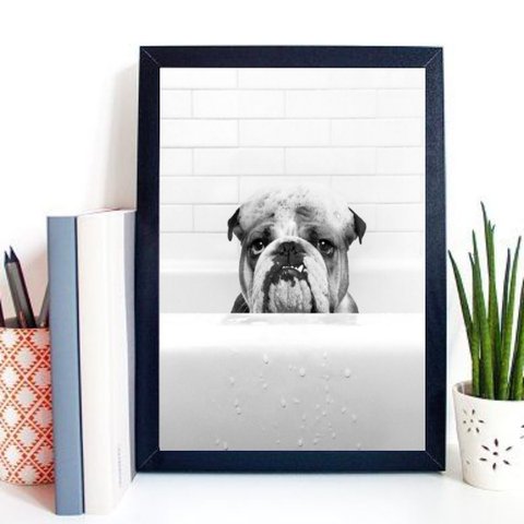 Quadro para Banheiro Bulldog na Banheira 24x18cm - com Vidro:madeira Preta