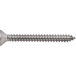 Parafuso Autoatarraxante Inox 5,5x50,0mm Phillips Vonder - 1
