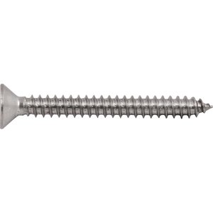 Parafuso Autoatarraxante Inox 5,5x50,0mm Phillips Vonder