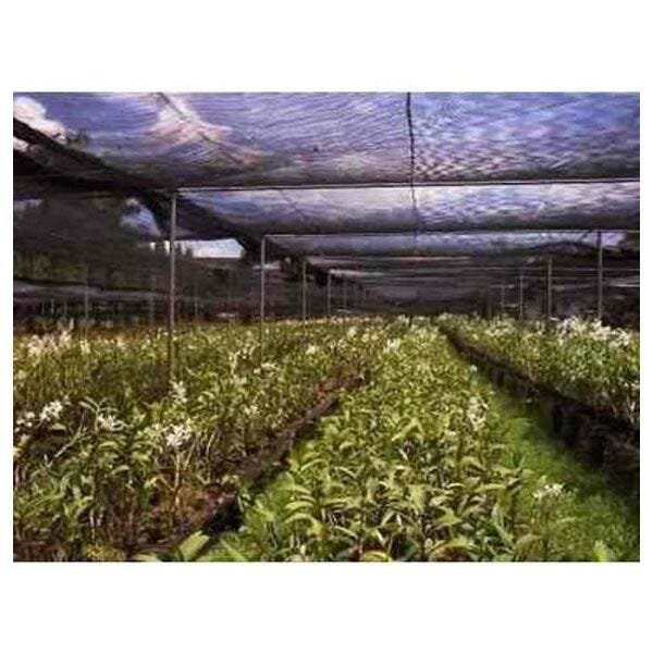 Tela de sombreamento 80% 4,00 de largura x 56 metros - 2