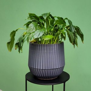 Vaso de plantas Cesto - prato embutido - Cinza Chumbo