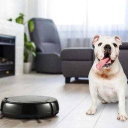 Aspirador Elgin Evo Robot - Aspira -Varre - Passa Pano - 4