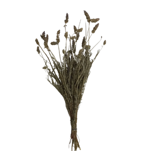 Flor Lavanda Desidratada