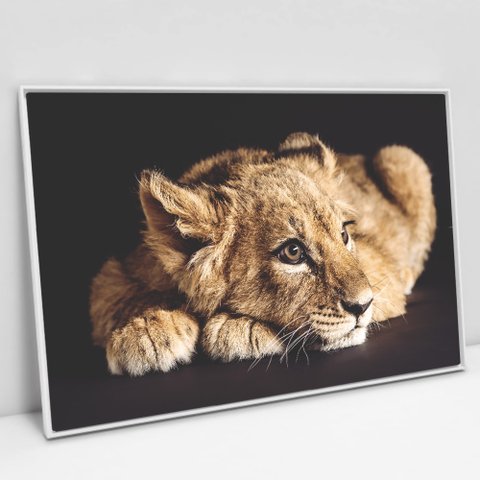 Quadro Decorativo em Canvas Filhote do Predador - Moldura Branca - 120 x 80cm