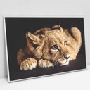 Ver imagem 1 de Quadro Decorativo em Canvas Filhote do Predador - Moldura Branca - 120 x 80cm