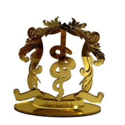Placa Personolizada Brasão Acrilico Profissões Decoração:medicina - 6