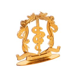 Placa Personolizada Brasão Acrilico Profissões Decoração:medicina - 3