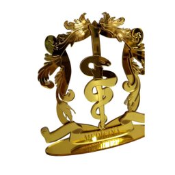 Placa Personolizada Brasão Acrilico Profissões Decoração:medicina - 7