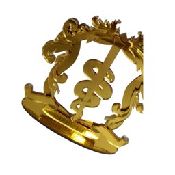 Placa Personolizada Brasão Acrilico Profissões Decoração:medicina - 5