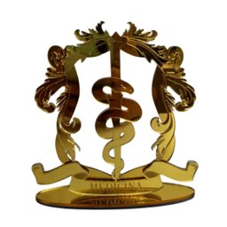 Placa Personolizada Brasão Acrilico Profissões Decoração:medicina - 1