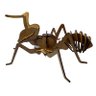 Brinquedo Quebra Cabeça 3D Formiga Mdf - 2