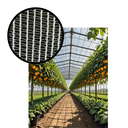 Ver imagem 3 de Tela Agro P/ Plantações Média/padrão Branca 3x15m (45m²)