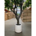 Ver mais imagens de Árvore Artificial Grande Realista com 2.50m para Decoração