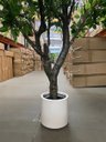 Ver mais imagens de Árvore Artificial Grande Realista com 2.50m para Decoração