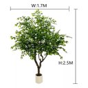 Ver imagem 2 de Árvore Artificial Grande Realista com 2.50m para Decoração