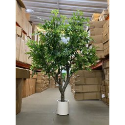 Árvore Artificial Grande Realista com 2.50m para Decoração - 5