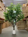 Ver imagem 5 de Árvore Artificial Grande Realista com 2.50m para Decoração