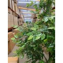 Ver imagem 4 de Árvore Artificial Grande Realista com 2.50m para Decoração