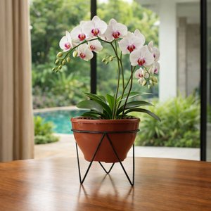 Suportes Tripé para Vaso de Plantas 18x15cm em Ferro Artesanal