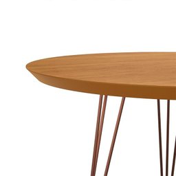 Mesa de Centro Redonda Pés de Ferro 67 X 67 X 38 Evolution Patrimar Cinamomo - 2