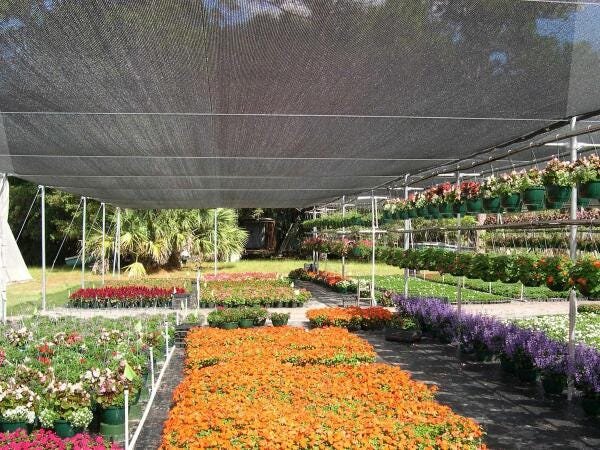 Tela Sombreamento Preta Jardim Planta Orta 70% 3 X 30 Mts - 3