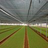 Tela Sombreamento Agricola Viveiros Estufa 50% 2 X 10 Mts - 3