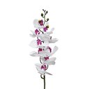 Ver imagem 2 de Orquídea Phalaenopsis Real Toque Florarte X9 92cm Vol. 9