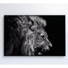 Quadro Leão Preto E Branco 120x80 Cm Adesivo Fotográfico - 4