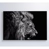 Quadro Leão Preto E Branco 120x80 Cm Adesivo Fotográfico - 5