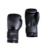 Luvas De Boxe 120 Preta - 10Oz - 1