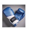 Luvas De Boxe 120 Azul - 12Oz - 2
