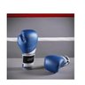 Luvas De Boxe 120 Azul - 12Oz - 3