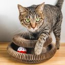 Ver imagem 4 de Arranhador Magico Gato Felino Pet Brinquedo Interativo Bola Guizo Multi Formas Dobravel Entretenimen
