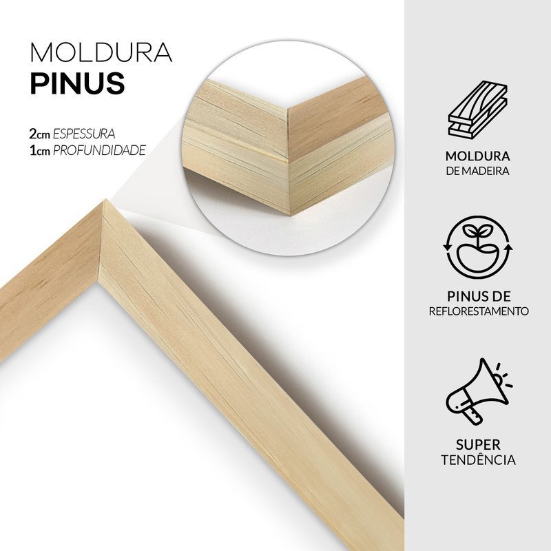 Kit 3 Quadros Geométricos Clássicos Decoração Hall Entrada Moldura Pinus - 5