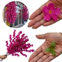 Ver imagem 4 de Kit 18 Cerejeira Artificial com Flores 125cm Hastes para Vasos e Decoração