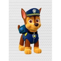 Kit Três Quadros Patrulha Canina Chase - Paw Patrol - 3