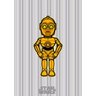 Kit 2 Quadros Star Wars C3PO e H2D2 - 2
