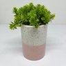 Vaso delicado granilite de cerâmica decorativo duas cores - 4