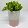 Vaso delicado granilite de cerâmica decorativo duas cores - 3