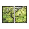 Quadro Natureza Verde Duplo 50x70 - 2 Peças - 2