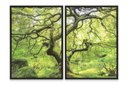 Ver imagem 2 de Quadro Natureza Verde Duplo 50x70 - 2 Peças