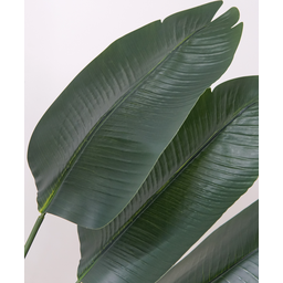 Arvore Planta Artificial Bananeira Palmeira Ravenala 180 Cm - 4