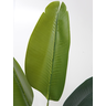 Arvore Planta Artificial Bananeira Palmeira Ravenala 180 Cm - 3