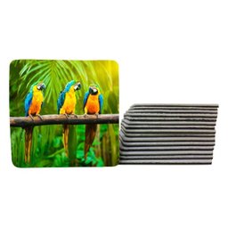 Kit 8 Porta Chopp Tigre Arara Azul Tucano Amantes de Animais Quadrado - 3 Kit 8 Porta Chopp Tigre Arara Azul Tucano Amantes de Animais Quadrado - 3