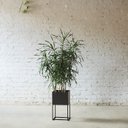 Ver imagem 5 de Cachepot para Plantas - 22x22x40 - Preto