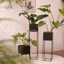 Ver imagem 4 de Cachepot para Plantas - 22x22x40 - Preto