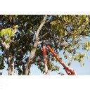 Ver imagem 4 de Tesourão de Poda Tipo Bypass Tramontina em Aço com Cabo de Madeira 60 Cm Tramontina